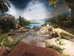 -辽宁古生物博物馆