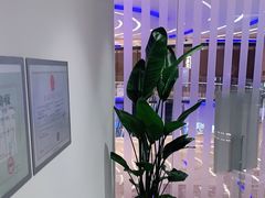 -LANN I 蘭 SPA(陆家嘴中心店)