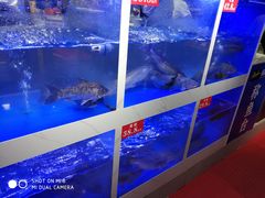 -麻麻鱼府主题涮锅(明珠家园店)