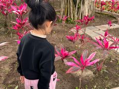 -兴芮温泉度假区