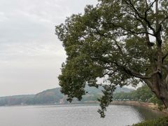 -东湖磨山景区