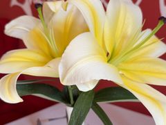 -塞纳河法国餐厅(意式风情街店)