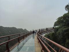 -少华山国家森林公园