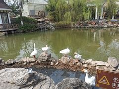 -天毓山庄·餐厅