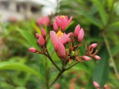 -碧桂园十里银滩