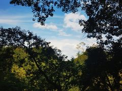 -黔灵山公园