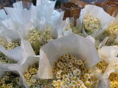 -循礼门鲜花花市(武汉循礼门店)