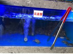 -一号码头蒸汽海鲜自助