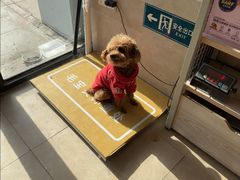-艾贝尔宠物医院·狂犬免疫点(江山金象城店)