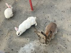 -嬉乐湾休闲旅游区