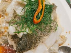 青花椒蒸龙胆鱼-闽和南(深圳万象城店)