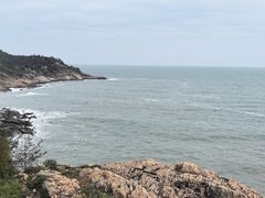 -广东惠东海龟国家级自然保护区
