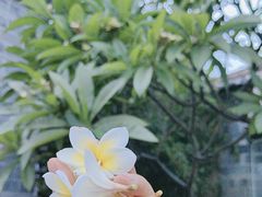 -朱家花园