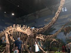 -自贡恐龙博物馆