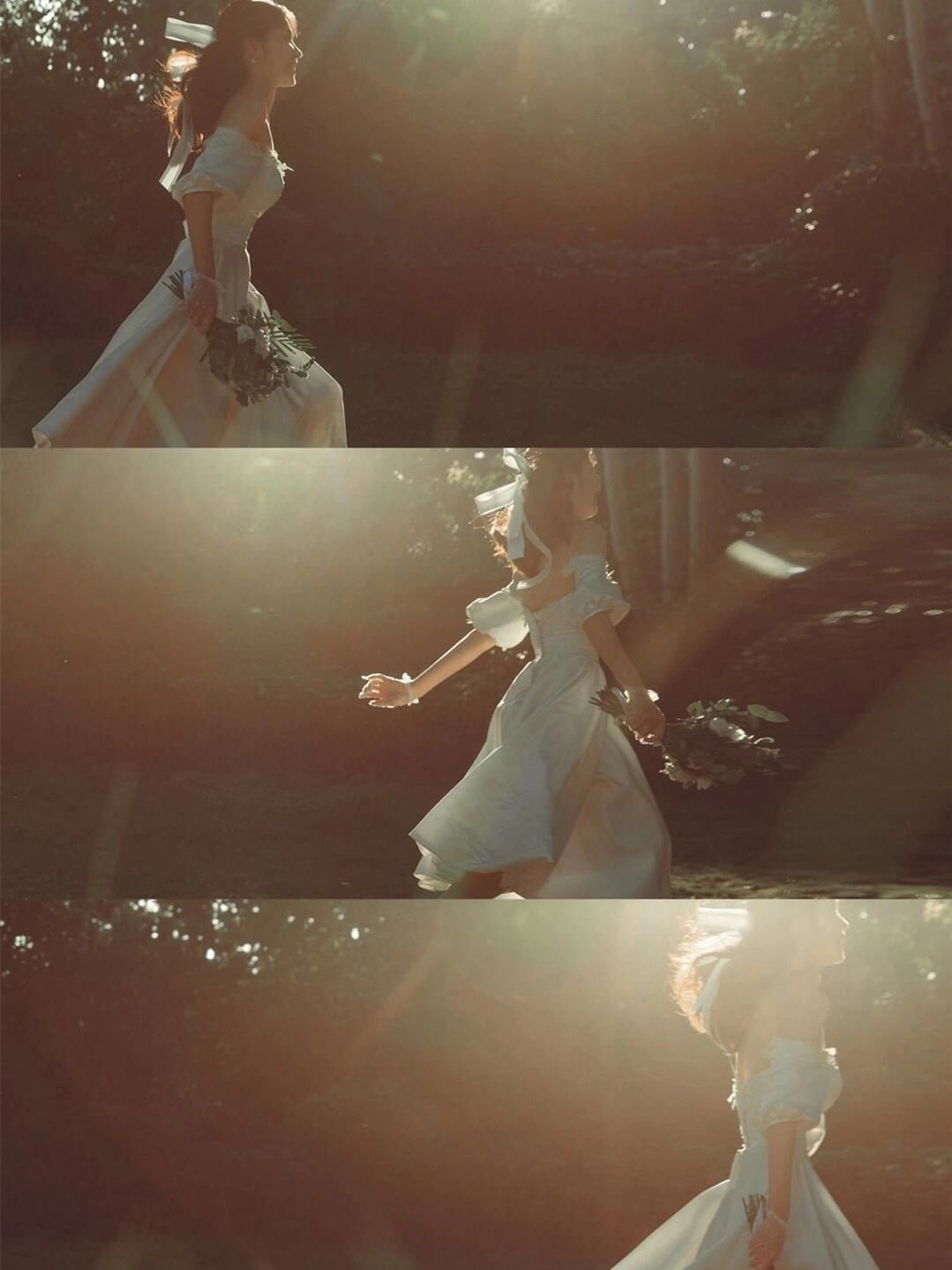 森系摄影构图教程高清版，一分钟就会