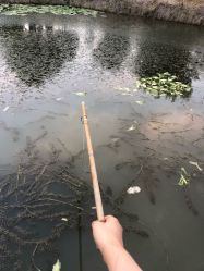 -红馆·发喆院
