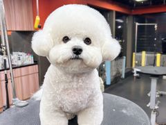 -宠宠熊宠物美容(星湖街店)