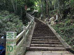 -阿巧茶庄