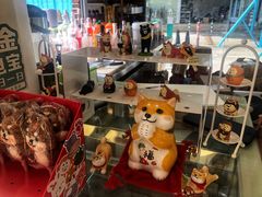 零售区-柴犬高等学院·狗咖·柴犬售卖·宠物训练