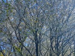 -江南大学(蠡湖校区)