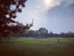 -石家庄市植物园
