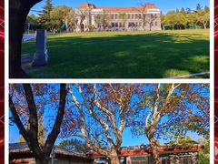 -清华大学-甲所餐厅