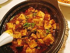 麻婆豆腐-初蓉丨遇见新川菜(亲贤街荣耀店)