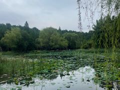 -郑州植物园