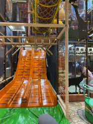 -卡通尼·Safari非洲探索乐园·生日会(金桥国际商业广场店)