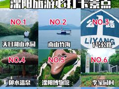 -紫藤园·天目湖大鱼头(南山竹海店)