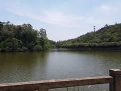 -李小龙乐园(顺德均安店)