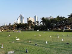 -白鹭洲公园