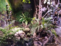-正佳雨林生态植物园