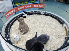 -万达广场(南京江宁店)