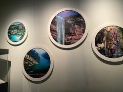 -重庆自然博物馆(新馆)