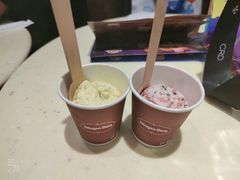 -哈根达斯(石家庄北国店)