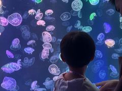 -海合安成都极地海洋公园