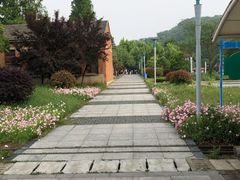 -冶山国家矿山公园