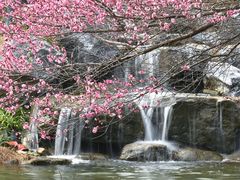 -中国茶叶博物馆(双峰馆区)
