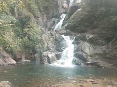 -九龙江国家森林公园