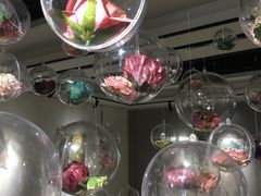 景点-金谷里艺术馆