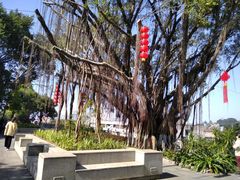 -船政文化景区-罗星塔公园