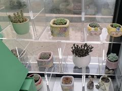 -卫雅仕口腔