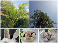 -马家斑.鲜鱼火锅(松湖万科店)
