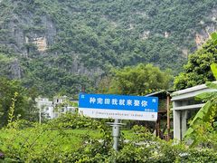 -明仕田园