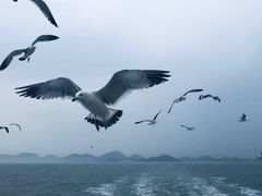 -海驴岛(荣成市)