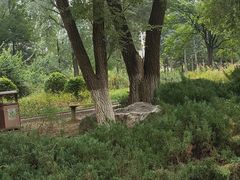 -滨河世纪广场公园