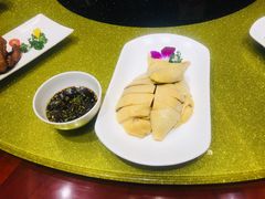 白切广东清远鸡-申宴酒楼(王子百货店)