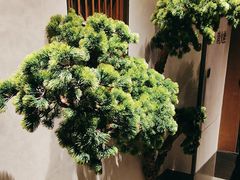 -百富源·海鲜辽菜(张士店)