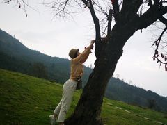 -硗碛藏寨·神木垒景区